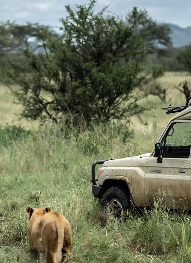 Manyara_02