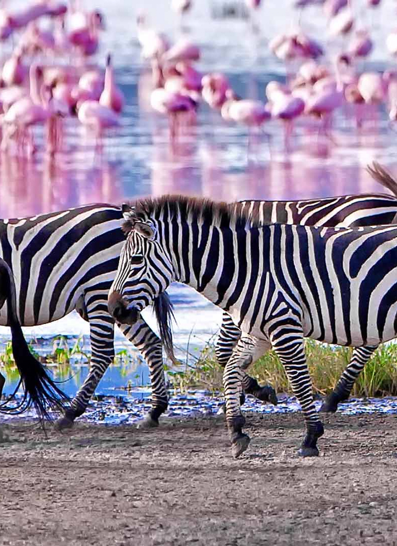 Manyara_03